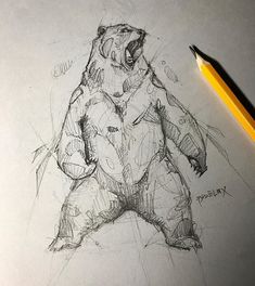 a pencil drawing of a bear with its mouth open