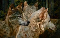 three wolfs are standing close together in the woods