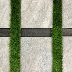 grass growing on the side of a road with an arrow pointing to it's left