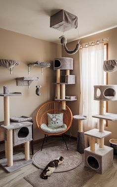 Indoor Cat Room Ideas, Cats Room, Cat Corner, Cat Run, Mini Cat, Cat Room, Indoor Cat, Room Ideas Bedroom, Apartment Ideas