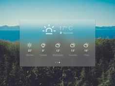 an image of the weather displayed on a computer screen in front of some trees and water