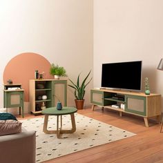 a living room filled with furniture and a flat screen tv on top of a wooden stand