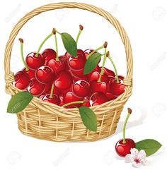 a basket full of cherries with leaves and flowers