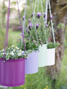 three buckets with flowers hanging from them