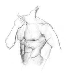 a pencil drawing of a man's torso