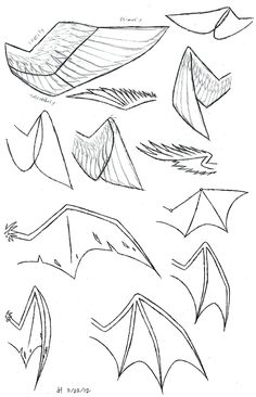 several different shapes and sizes of kites are shown in the drawing above it is an image