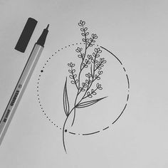 a drawing of a plant with leaves on it and a circle in the middle that says,