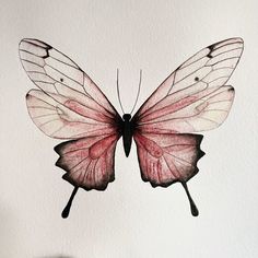 a watercolor painting of a pink and white butterfly on a white paper background,