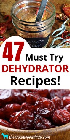 the words, 47 must try dehydraator recipes are in front of a bowl with dried cherries