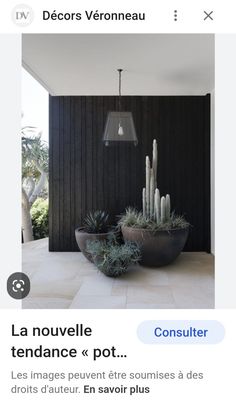 two large potted plants sitting on top of a stone floor next to a black wall