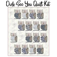 an owl quilt pattern with the words owls see you quilt kit