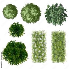 the top view of different trees and shrubs in various shapes, sizes and colors on a white background