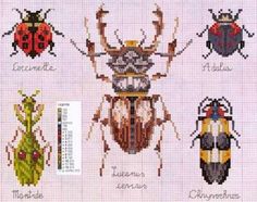 the cross stitch pattern shows different types of bugs