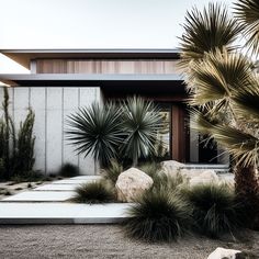 a house that has some plants in front of it and rocks on the ground next to it