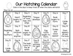 the printable calendar for our hatching calendar