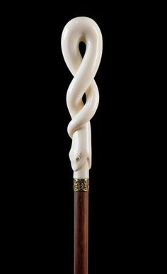 a wooden stick with a white snake on it's end and a black background