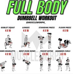 the full body dumbbell workout poster