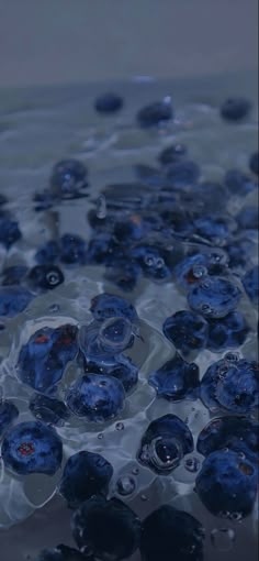 some blue glass beads floating in water