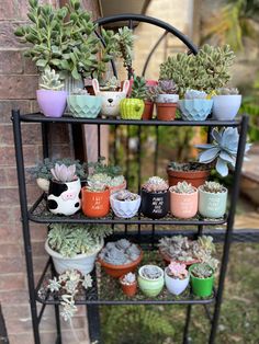 a shelf filled with potted plants next to a brick wall in front of a house