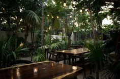 an outdoor dining area with tables, chairs and lights hanging from the ceiling in front of palm trees