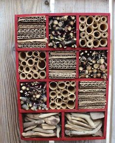 a red box filled with lots of different types of insect boxes on top of a wooden fence