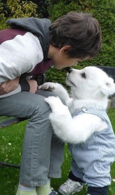 a young boy kissing a small white dog