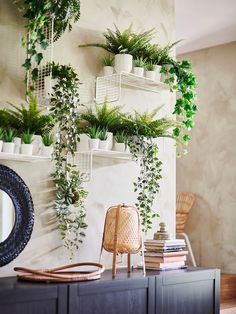 there are many plants on the wall in this room, and one plant is hanging from the wall