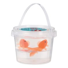 two orange fish in a clear plastic container