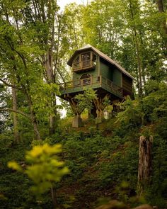 a tree house on top of a hill surrounded by trees and greenery in the woods