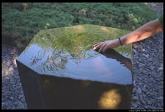 a person is touching the hood of a car that has been covered in moss and water