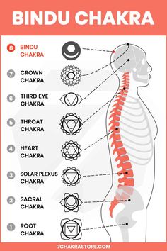 Bindu Chakra | 8th Chakra Meaning – 7 Chakra Store Tantra Symbols, Chakras In Body, Bindu Chakra, Chakra Symbols Tattoo, Chakras Symbols, 8th Chakra, Chakra For Beginners, Chakra Locations, Chakra Points