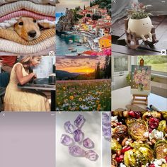 a collage of pictures with animals, flowers and other things in the photo below