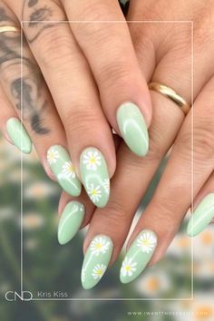 Colour Full Nail Designs, Green With Daisy Nails, Aster Flower Nails, Daisy Dip Nails, Nails With Flowers Simple, Green Nails Flowers, Green Daisy Nails, Simple Daisy Nails, Nails Daisy Flower