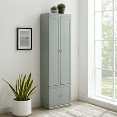 a tall gray cabinet next to a potted plant in a room with white walls