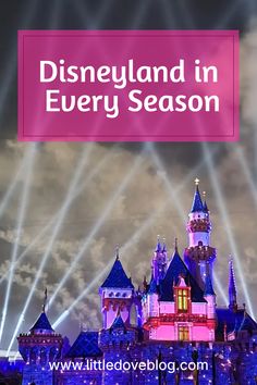 The Disneyland castle. Disneyland Tips, Happiest Place On Earth, Important Dates, Theme Park, Happy Places, Fun Activities, Family Travel, Disneyland, Saving Money