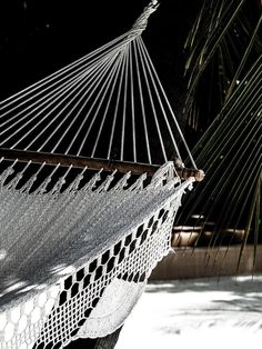 a white hammock hanging from a palm tree