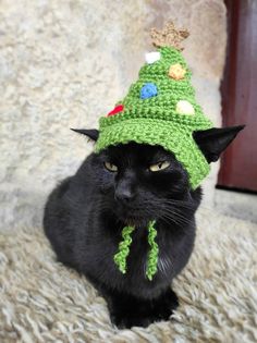 a black cat wearing a green crochet christmas hat