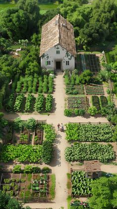 Self Sufficient Backyard: Vegetable Garden In The Woods, Home Farm Garden, Farm In Backyard, Regenerative Farming Backyard, Farm Garden Aesthetic, Farm Garden Ideas Landscaping, Self Sustaining Garden, Self Sufficient Garden, Food Garden Design