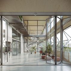 an empty room with glass walls and potted plants