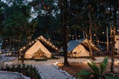 several tents are lit up in the woods at night with string lights strung from them