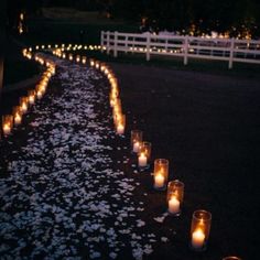 many lit candles are lined up on the ground