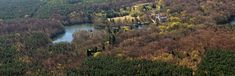 an aerial view of a river surrounded by trees