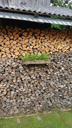 a pile of wood sitting on top of a lush green field