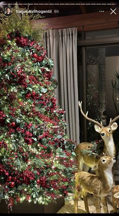 two deer standing next to each other in front of a christmas tree