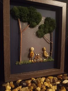 some rocks and trees in a shadow box