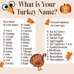 what is your turkey name?