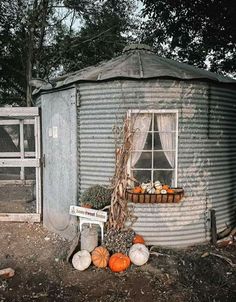 an outhouse with pumpkins and gourds in the yard