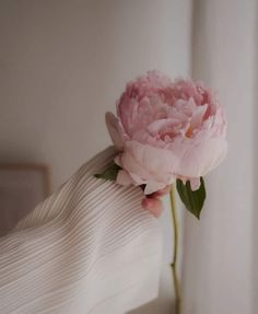 a pink peony flower sitting on top of a bed