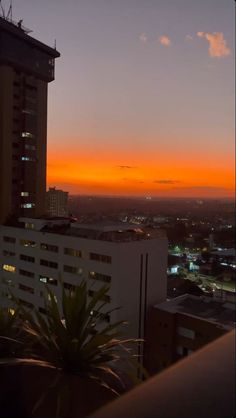 the sun is setting over a city with tall buildings and palm trees in the foreground