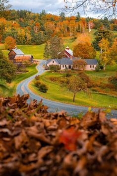 an autumn scene with leaves on the ground and houses in the distance, surrounded by trees